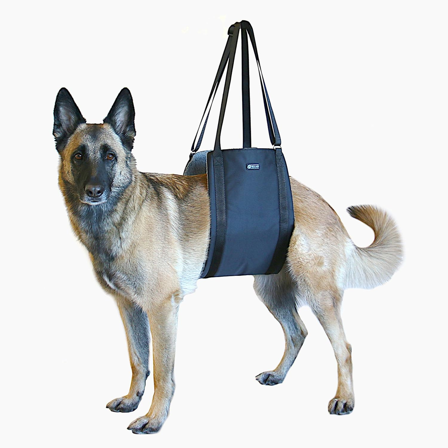 Max and Neo Dog Lift Support