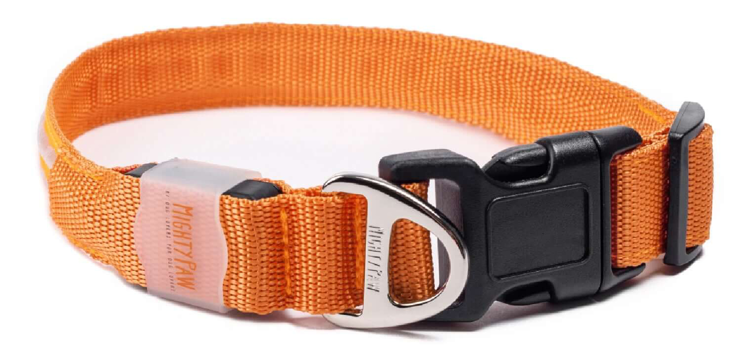 Mighty Paw LED Dog Collar
