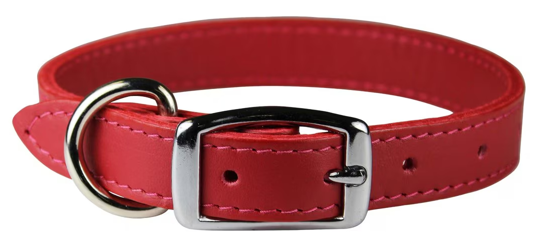 OmniPet Signature Leather Dog Collar 