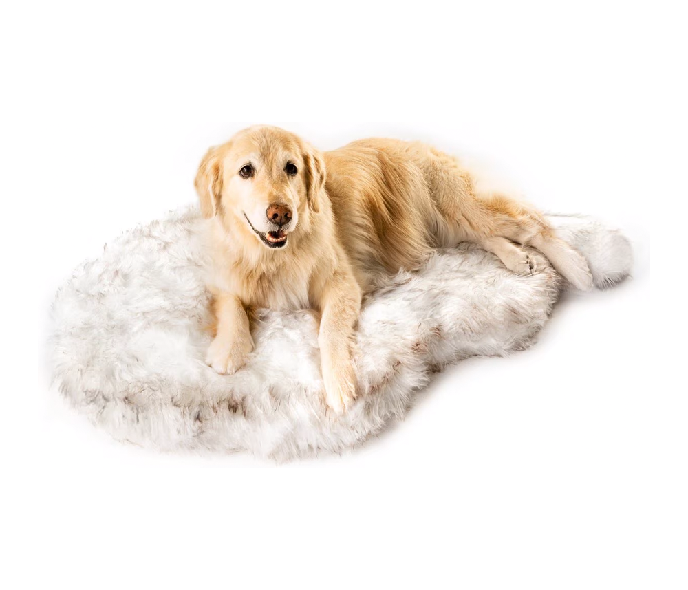 Paw Brands Orthopedic Bed