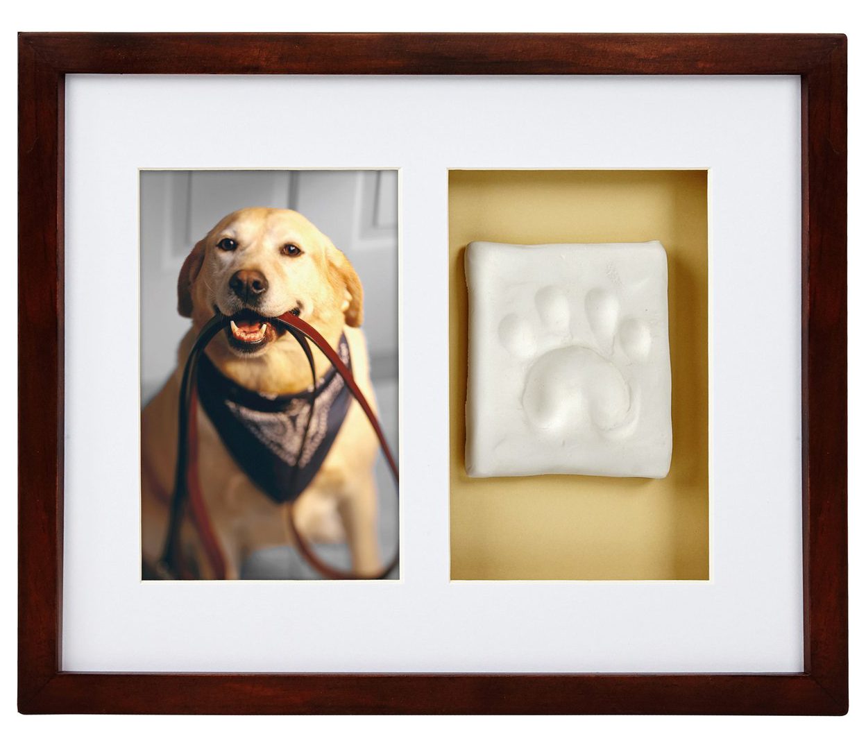 Pearhead Pawprints Dog &amp; Cat Wall Frame and Impression Kit