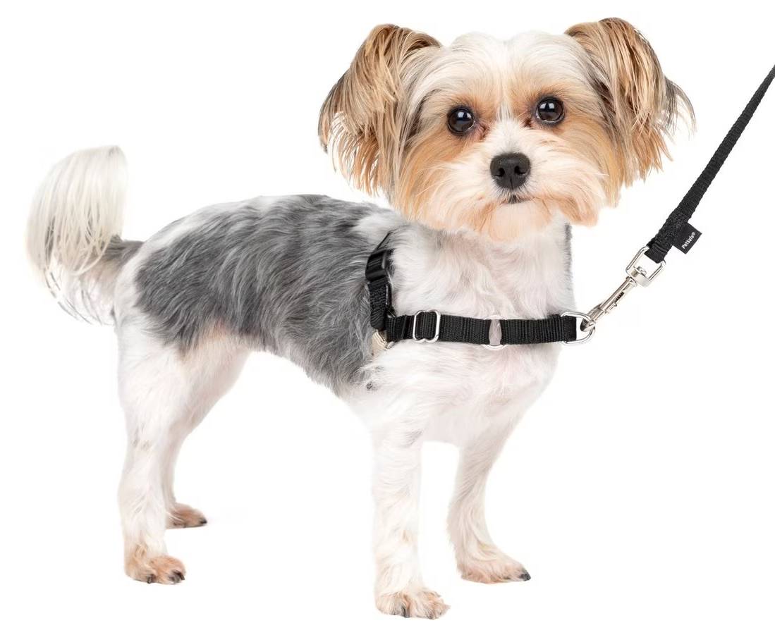 PetSafe Easy Walk Dog Harness