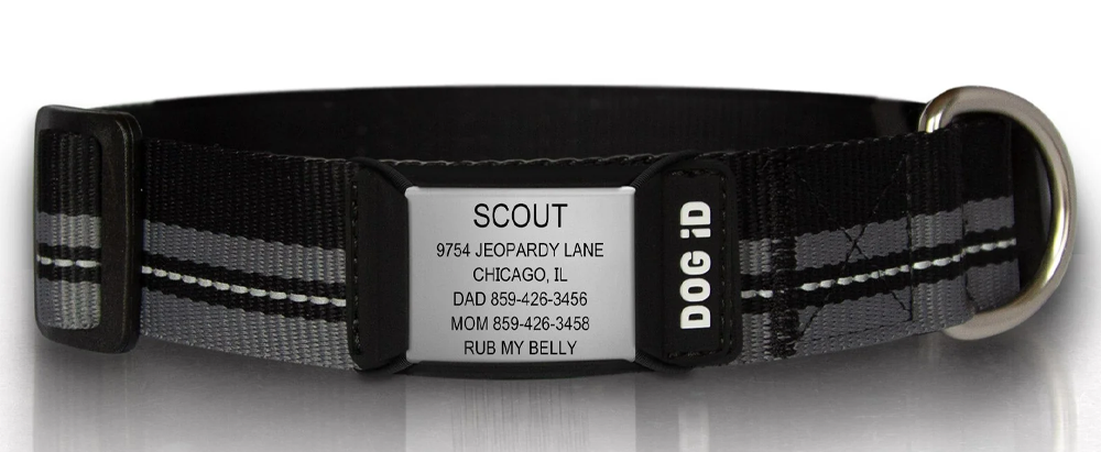 ROAD iD Personalized ID Tag Dog Collar