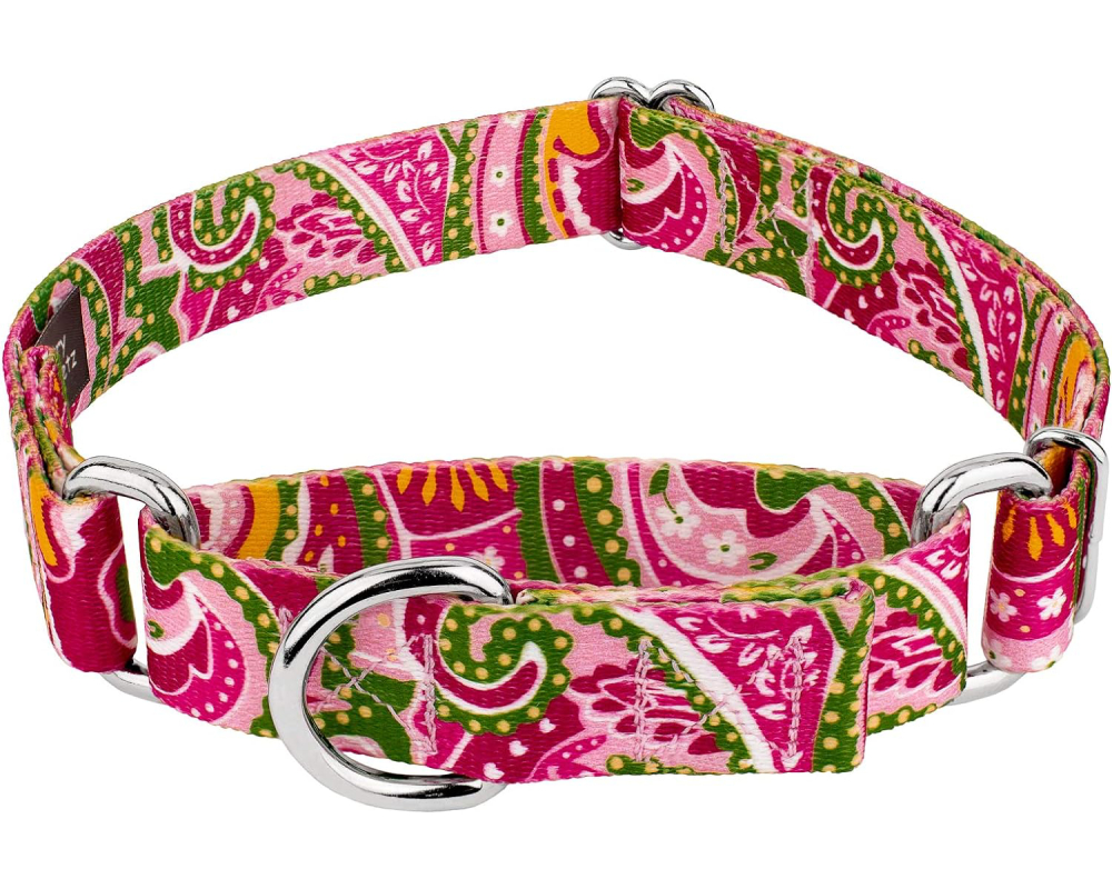 Country Brook Design Pink Paisley Martingale Dog Collar-M