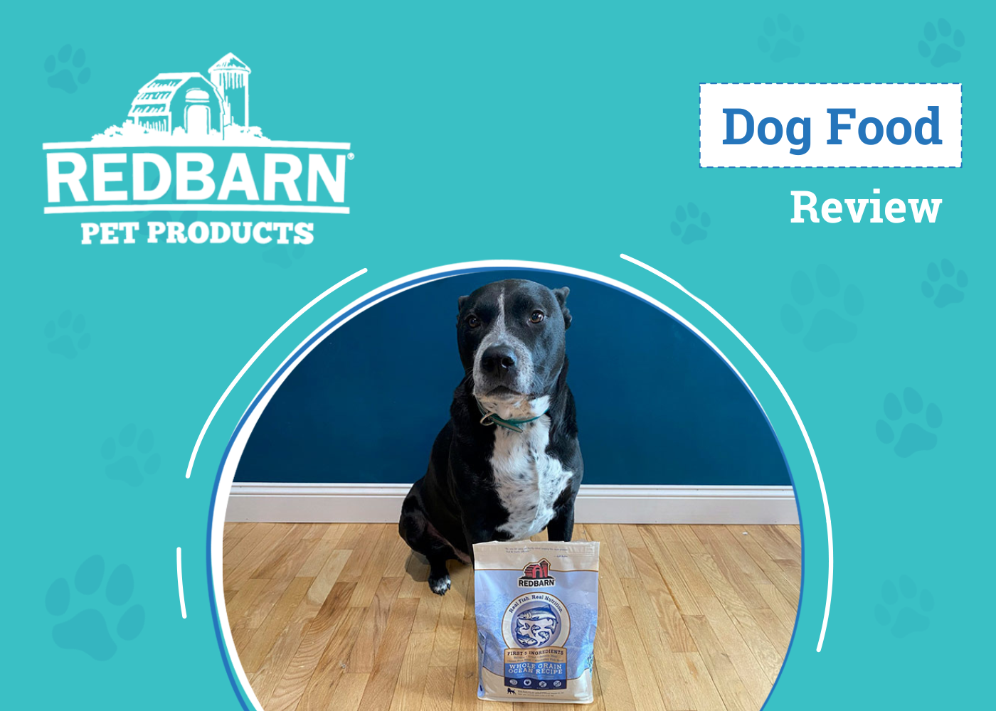 Redbarn Dog Food Review 2026: My Food-Sensitive Dog Tries the Most Popular Recipes
