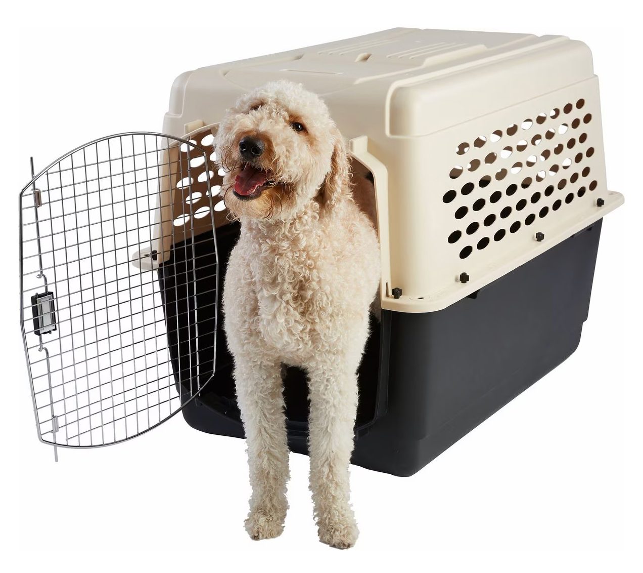 Frisco Plastic Dog Kennel