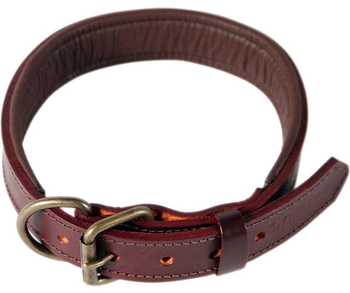 Logical Leather Padded Dog Collar