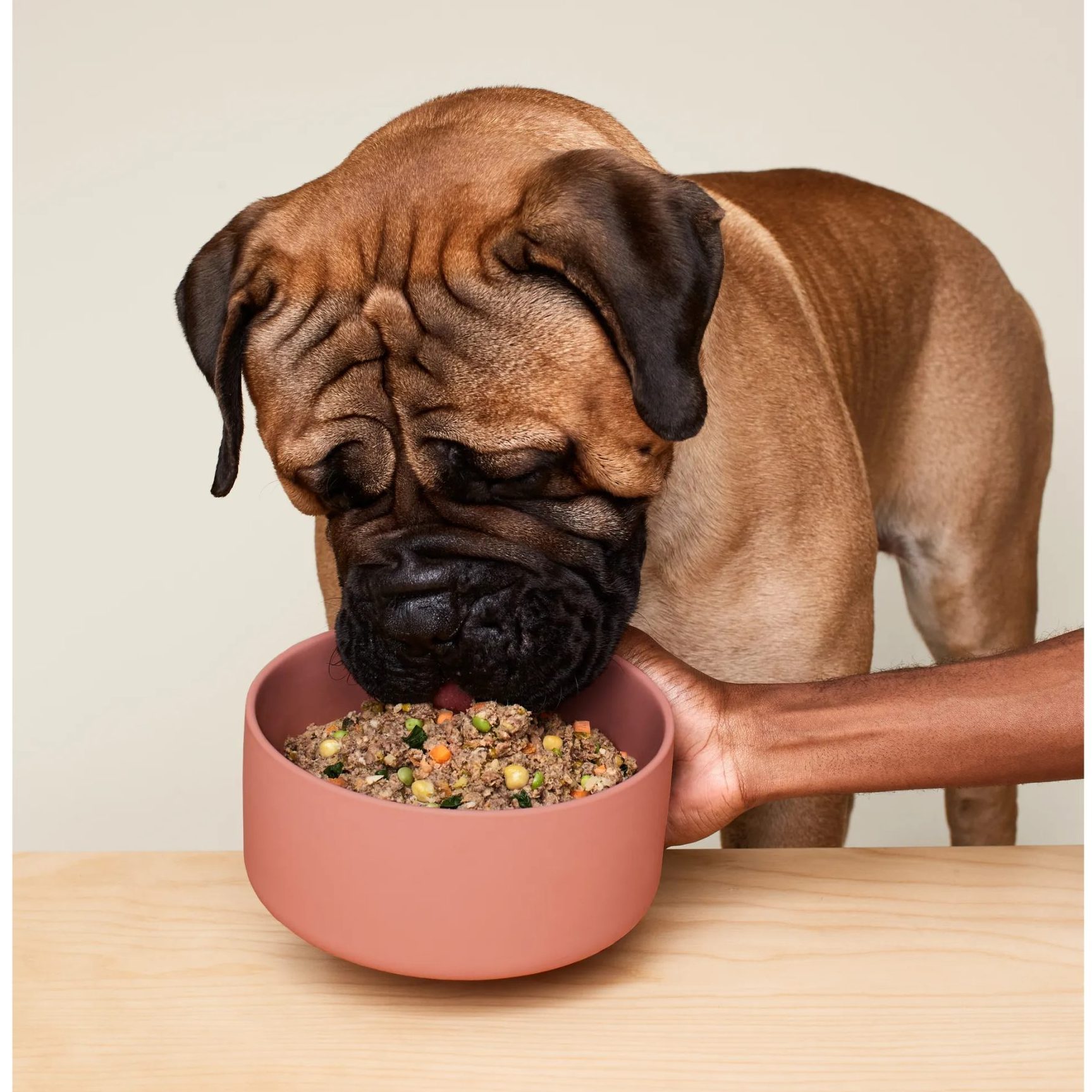 Ollie Fresh Beef Dog Food