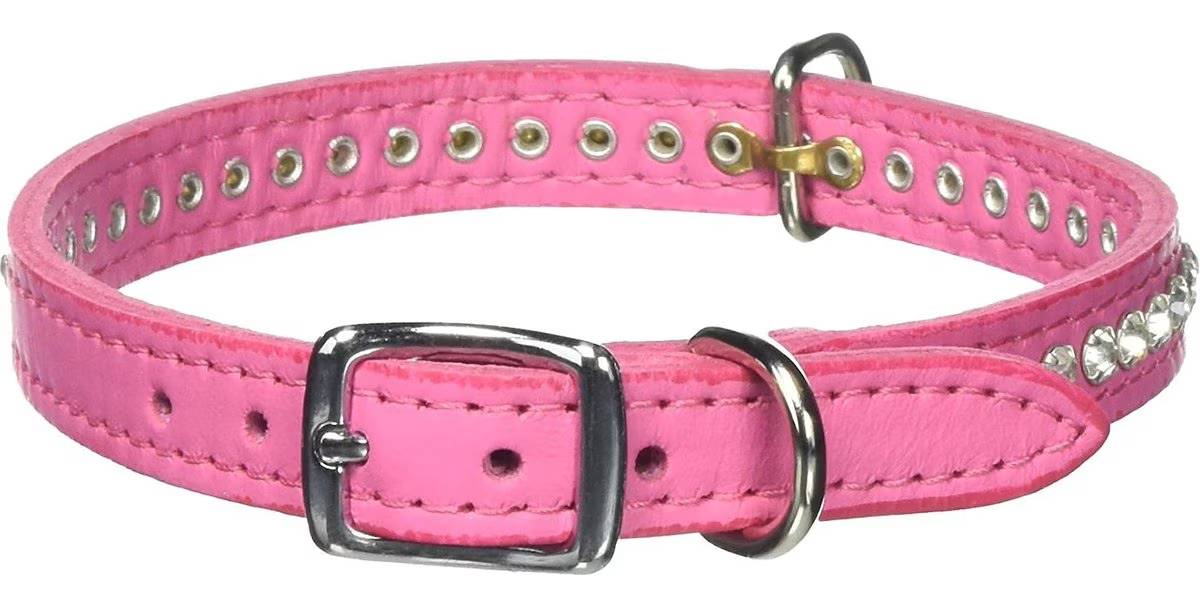 OmniPet Signature Leather Crystal Dog Collar