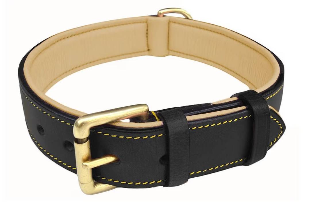 Soft Touch Collars Leather Dog Collar