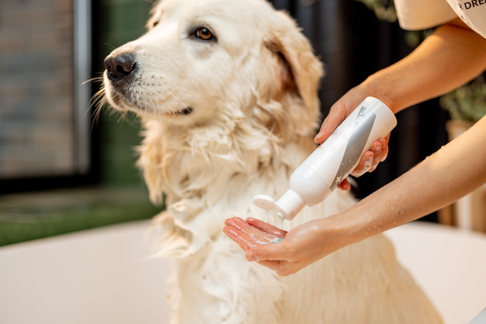 Does Dog Shampoo Expire? Vet-Verified Types, Storage Tips & FAQ