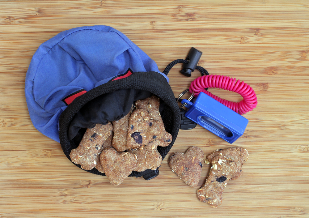 8 Best Dog Treat Pouches in 2026 – Reviews & Top Picks
