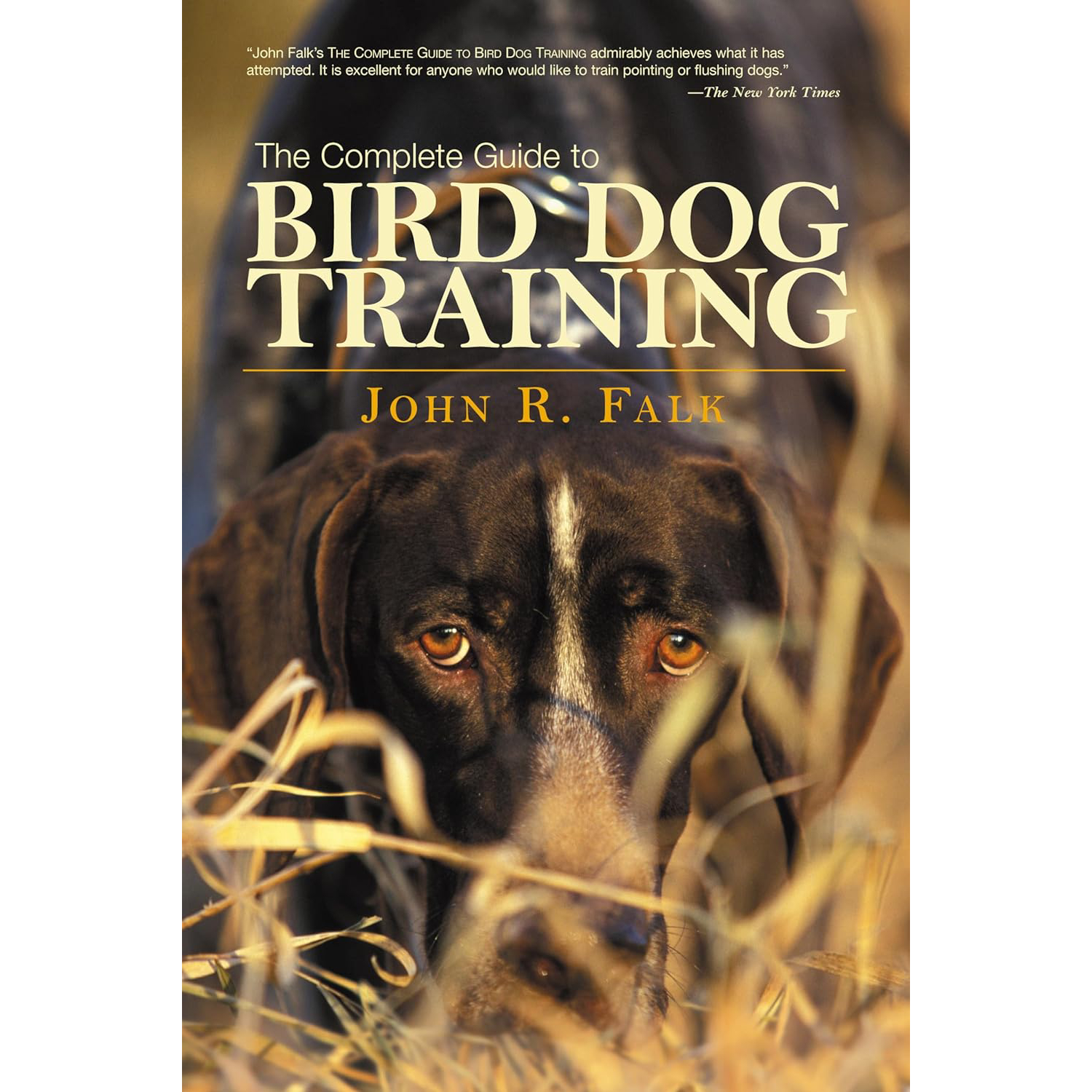 Complete Guide to Bird Dog Training