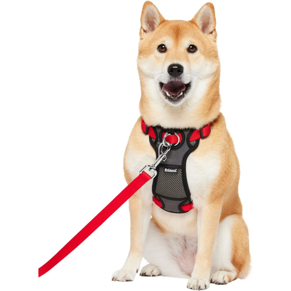 Frisco Padded Nylon No Pull Dog Harness