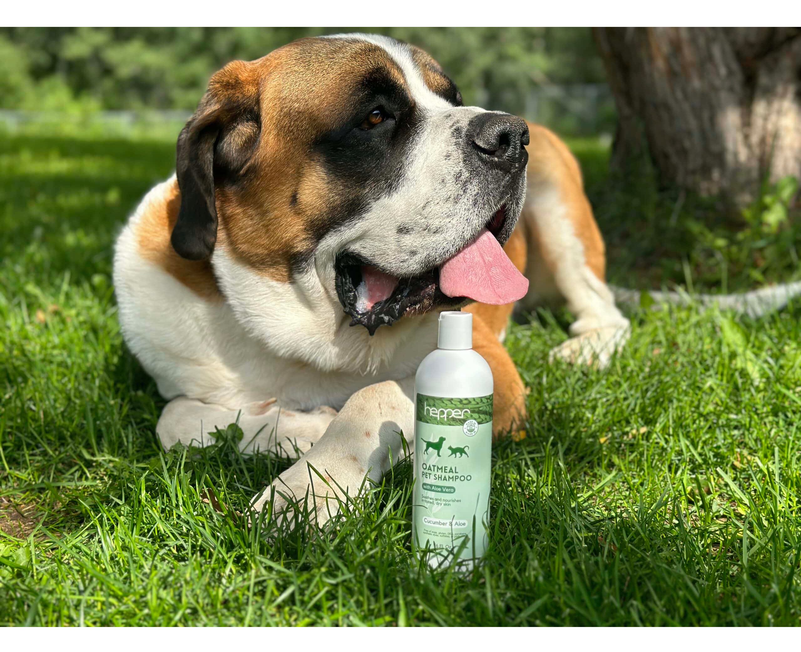 Hepper Colloidal Oatmeal Pet Shampoo