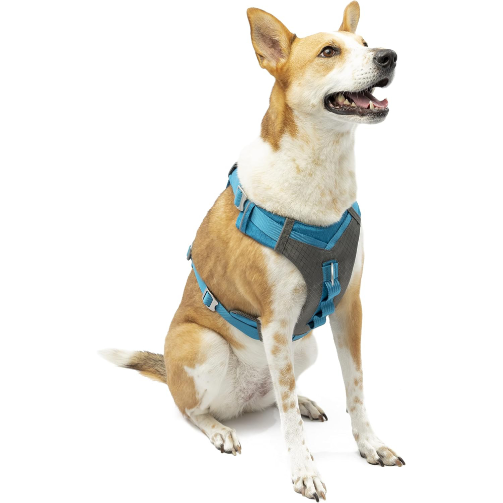 Kurgo Journey No Pull Dog Harness