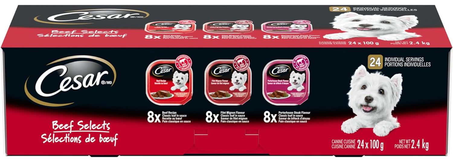 CESAR Classic Loaf in Sauce Adult Wet Dog Food