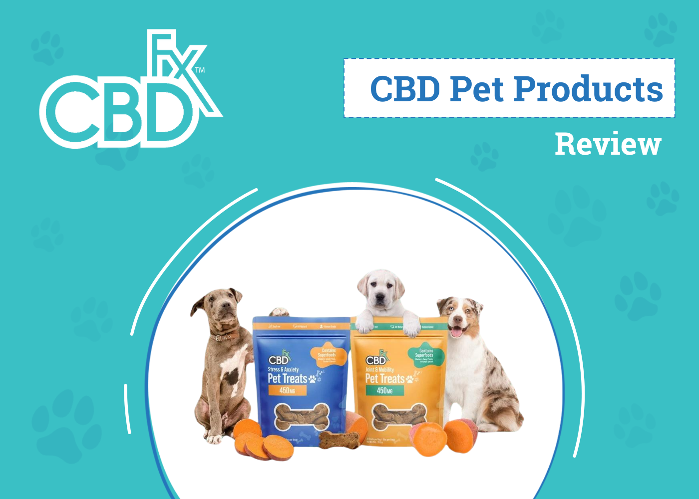 CBDfx CBD Pet Products Review 2026: Our Expert’s Opinion