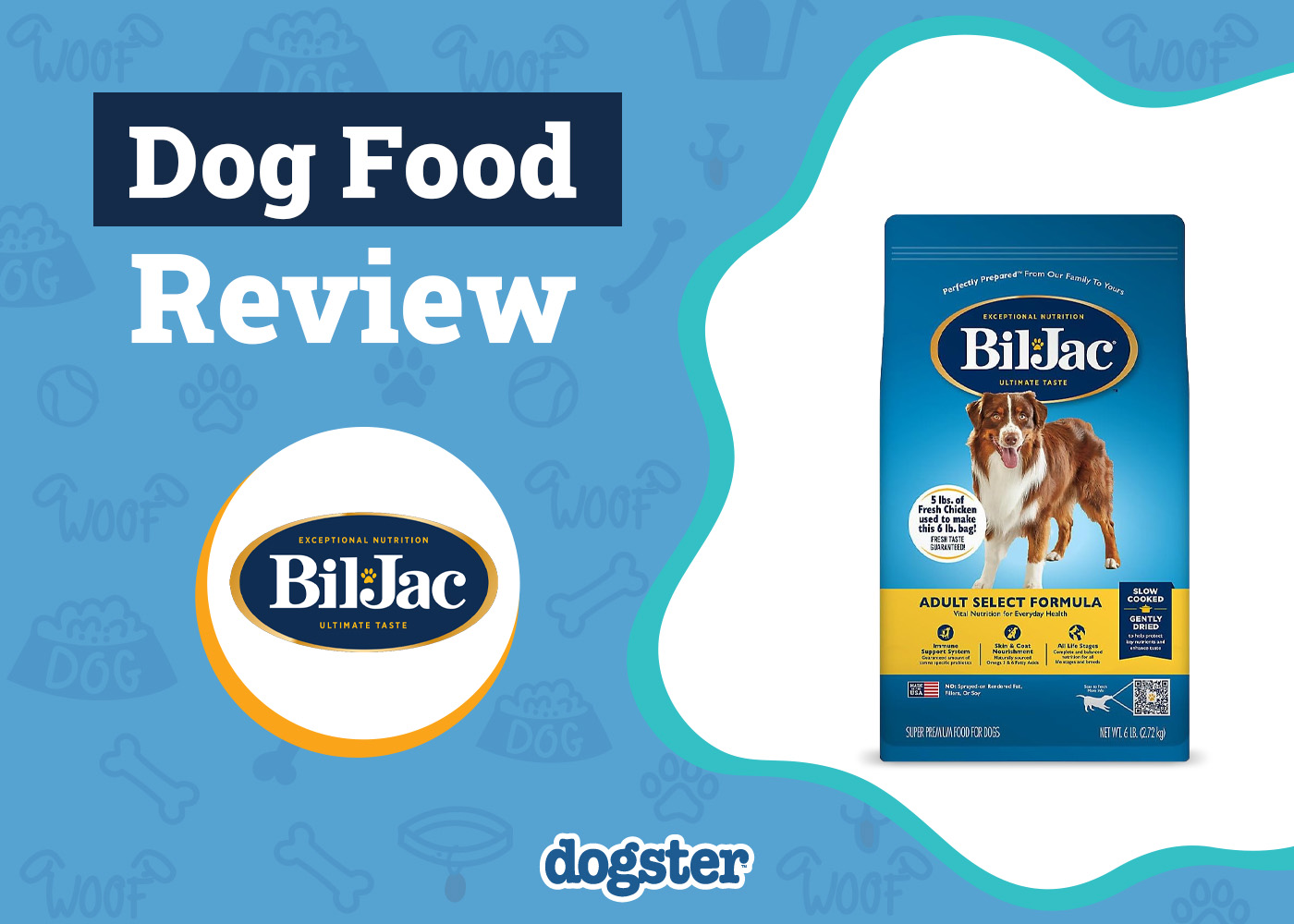 Bil-Jac Dog Food Review 2026: Recalls, Pros & Cons