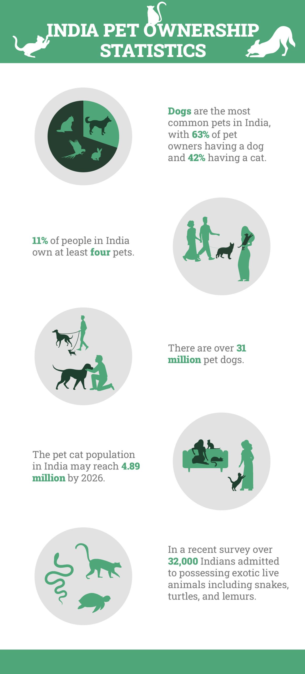 India Pet Ownership Statistics