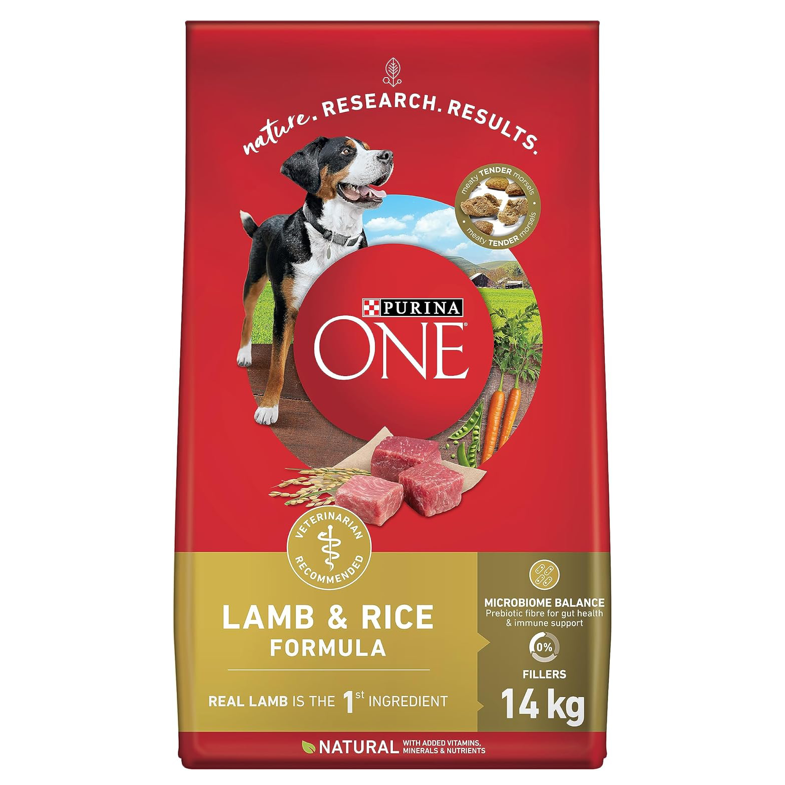 Purina ONE SmartBlend Dog Food