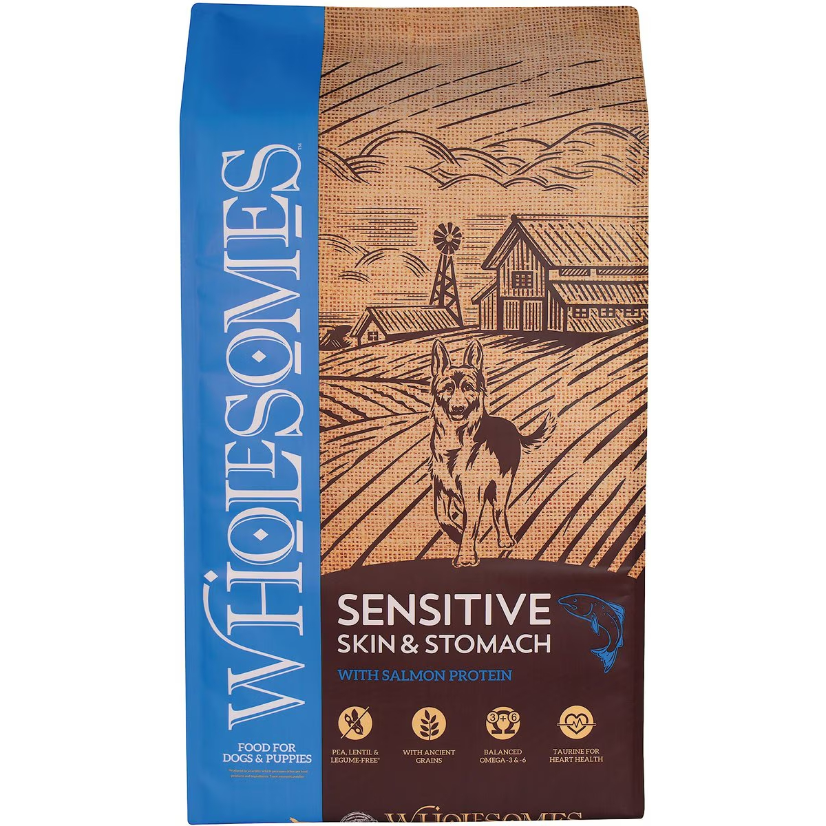 Wholesomes Sensitive Skin & Stomach with Salmon Protein Dry Dog Food New