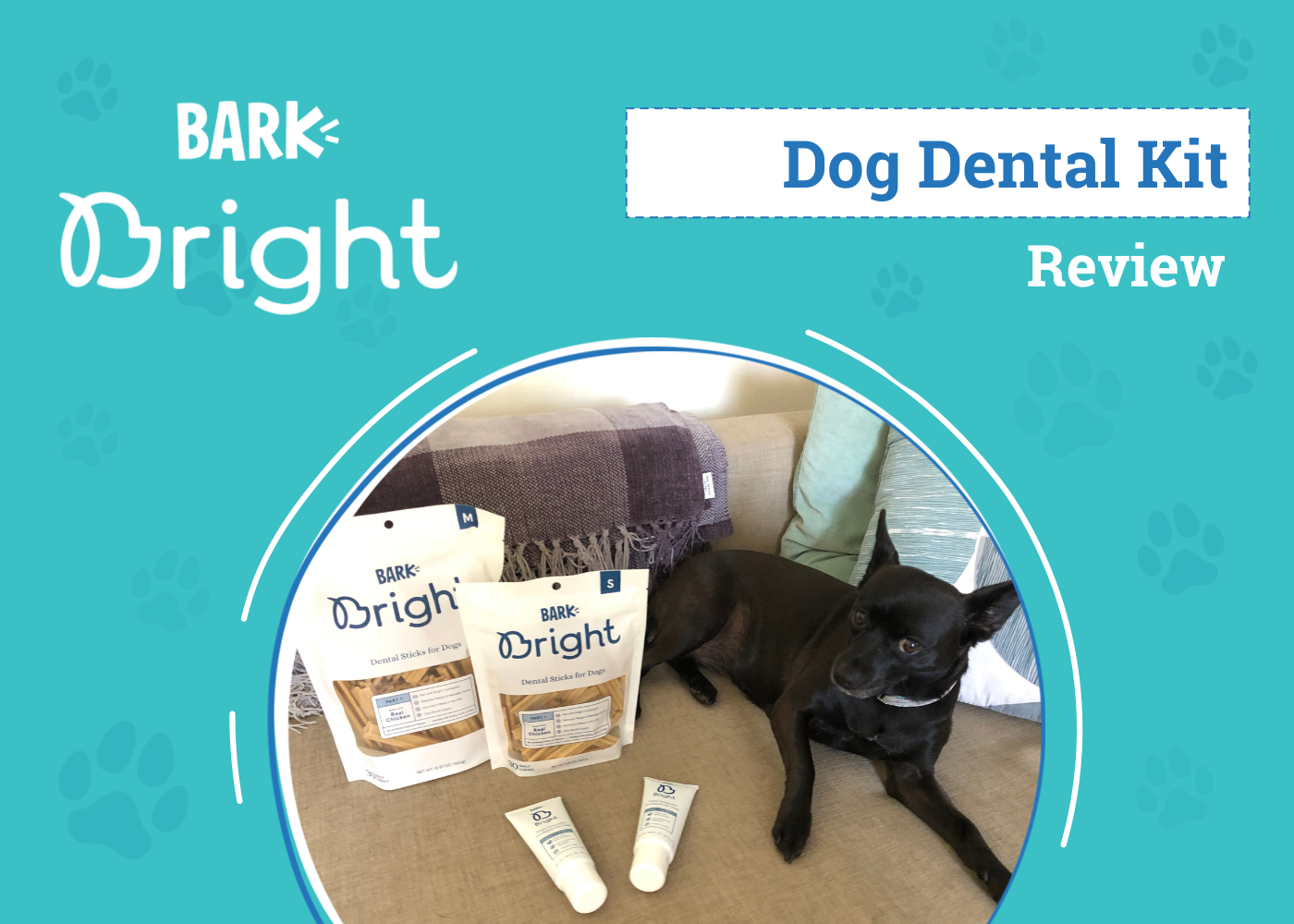 BARK Bright Dental Kit for Dogs Review 2026: An Expert's Breakdown
