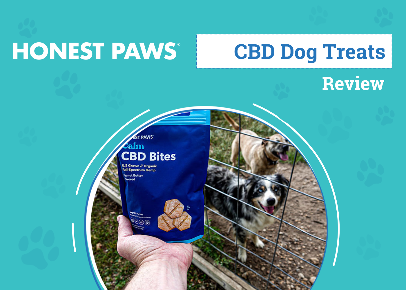 Honest Paws CBD Pet Products Review 2026: An Expert's Breakdown