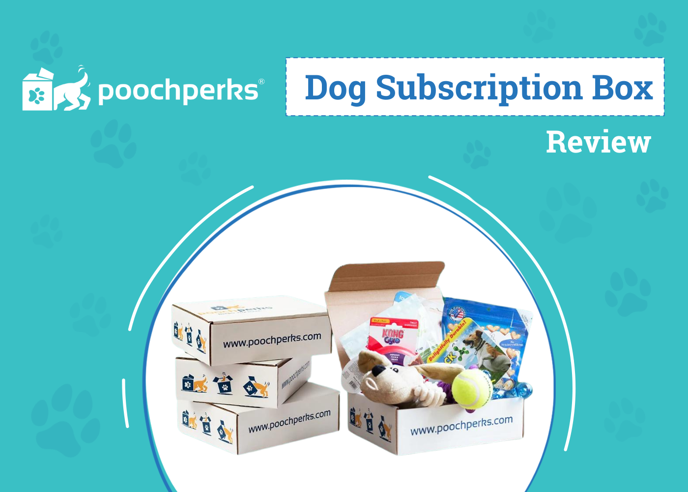 Pooch Perks Dog Food Subscription Review 2026: Our Expert’s Opinion