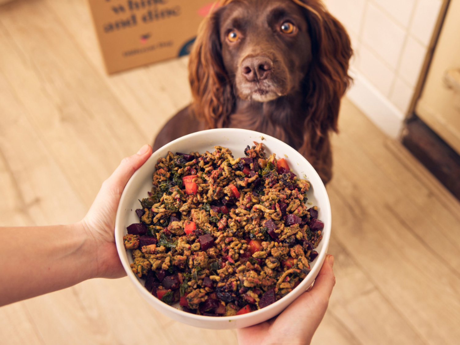 Different Dog Pork Ragu