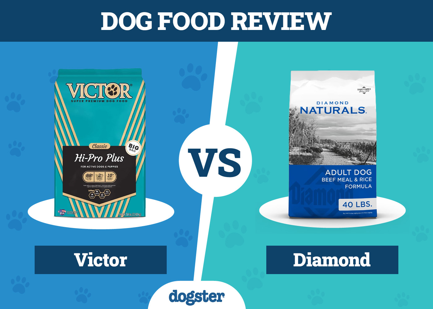 Victor Dog Food vs Diamond: Pros, Cons & What to Choose in 2026