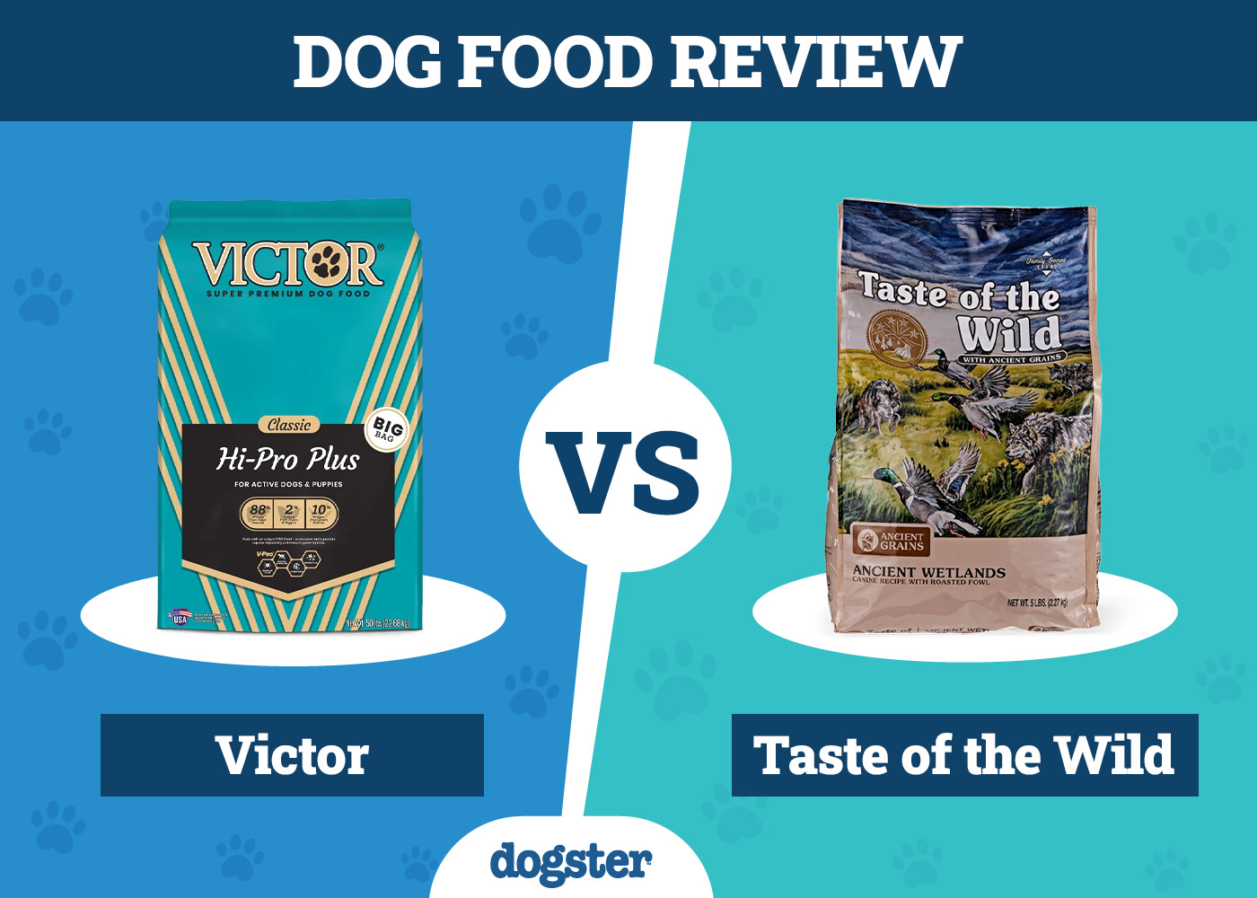 Victor vs Taste of the Wild Dog Food: 2026 Comparison, Pros & Cons