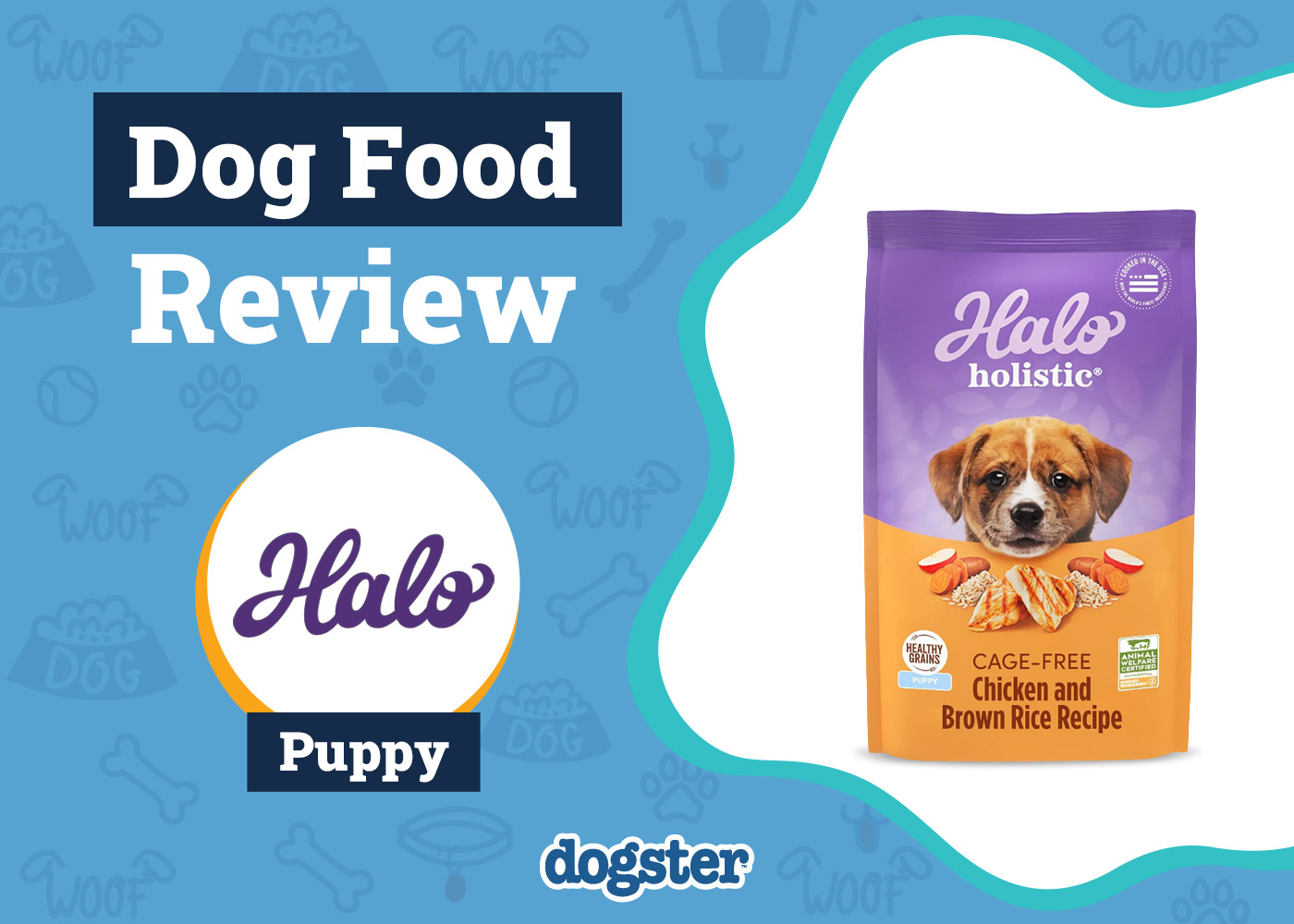 Halo Dog Food Review 2026: Recalls, Pros & Cons
