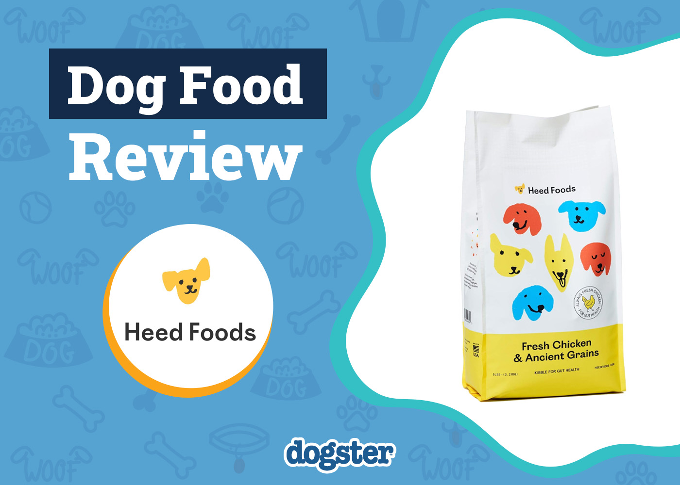 Heed Dog Food Review 2026: Pros, Cons, Recalls & Guide