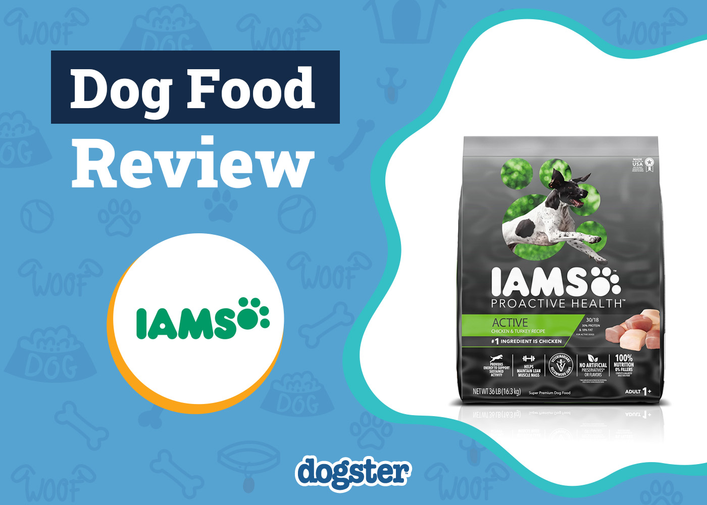 Iams Dog Food Review 2026: Pros, Cons, Recalls & FAQ