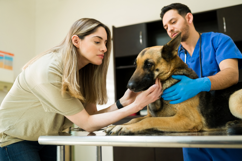 Worst Things for Dogs to Eat: Vet-Reviewed Safety & Toxicity