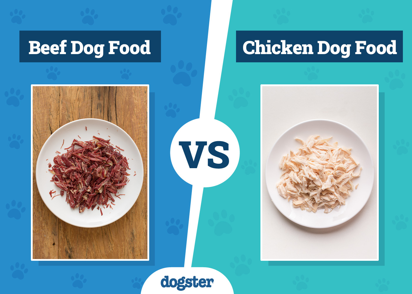 Beef vs Chicken Dog Food: 2026 Comparison, Pros & Cons (Vet-Reviewed)