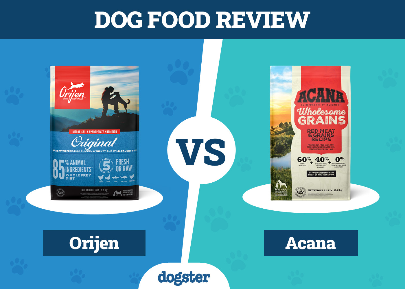Orijen vs Acana Dog Food: 2026 Comparison, Pros & Cons