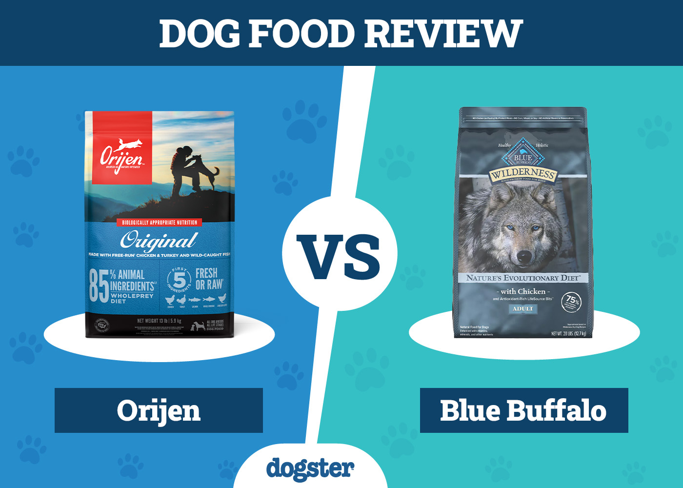 Orijen Dog Food vs Blue Buffalo Dog Food: 2026 Comparison, Pros & Cons