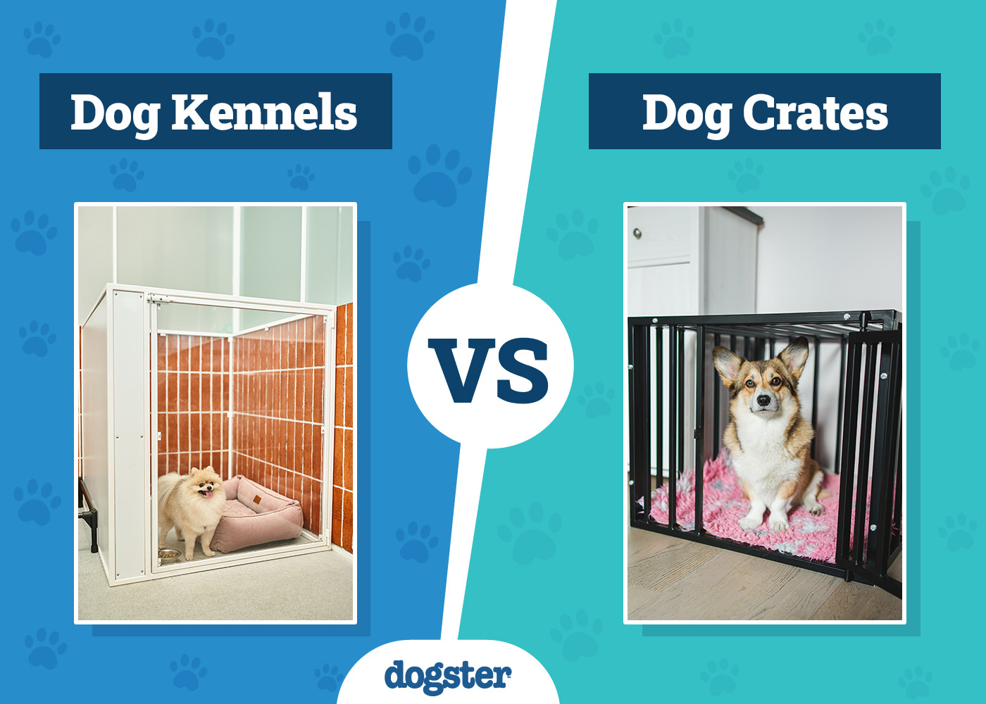 Dog Kennels vs. Crates: Vet-Verified Differences (With Info & Pictures)