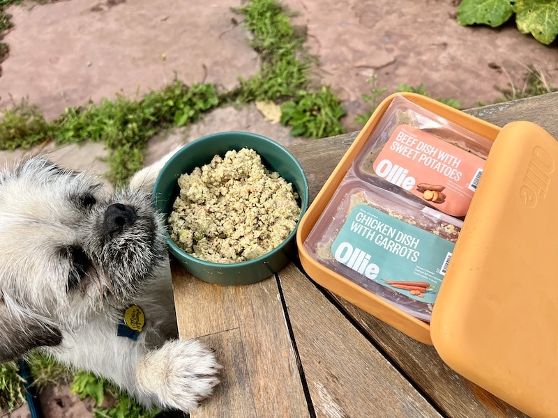Ollie Fresh Dog Food Subscription