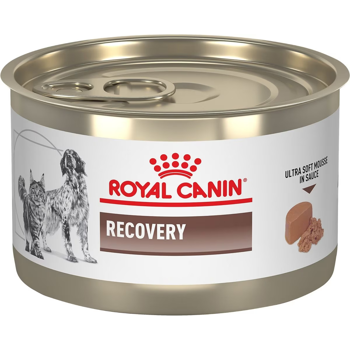 Royal Canin Vet Diet Recovery Mousse Wet Dog Food