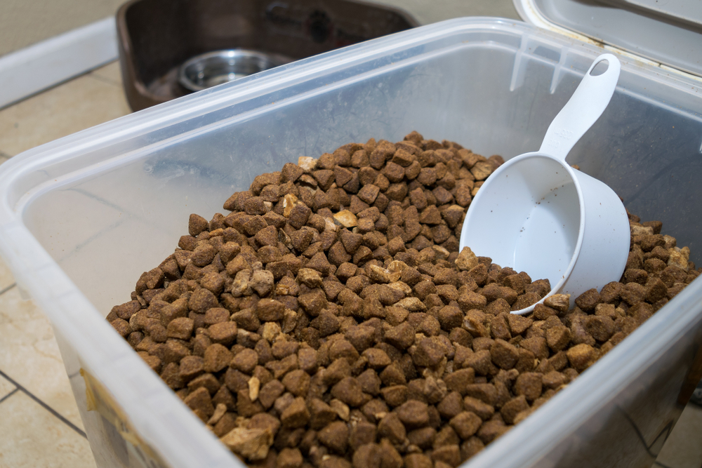 Can I Feed My Dog Store-Bought Kibble? Vet-Approved Nutrition Facts