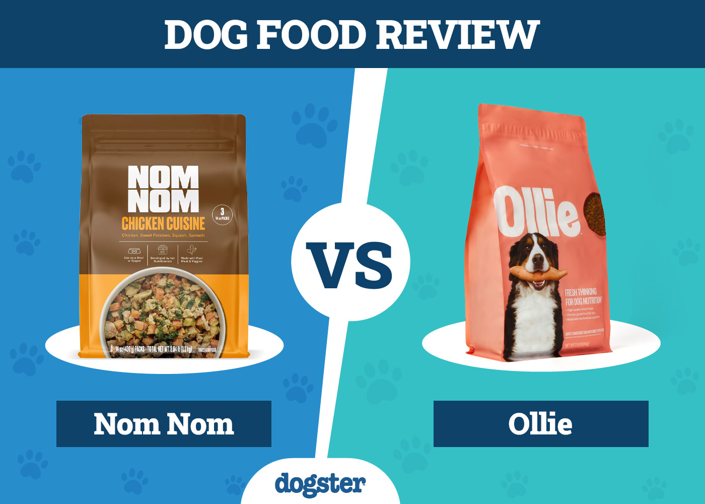 Nom Nom vs. Ollie Dog Food: Our 2026 In-Depth Comparison