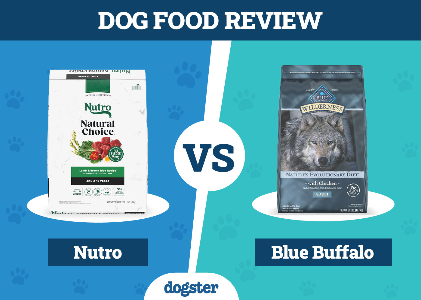 Nutro vs Blue Buffalo Dog Food: Our 2026 Comparison