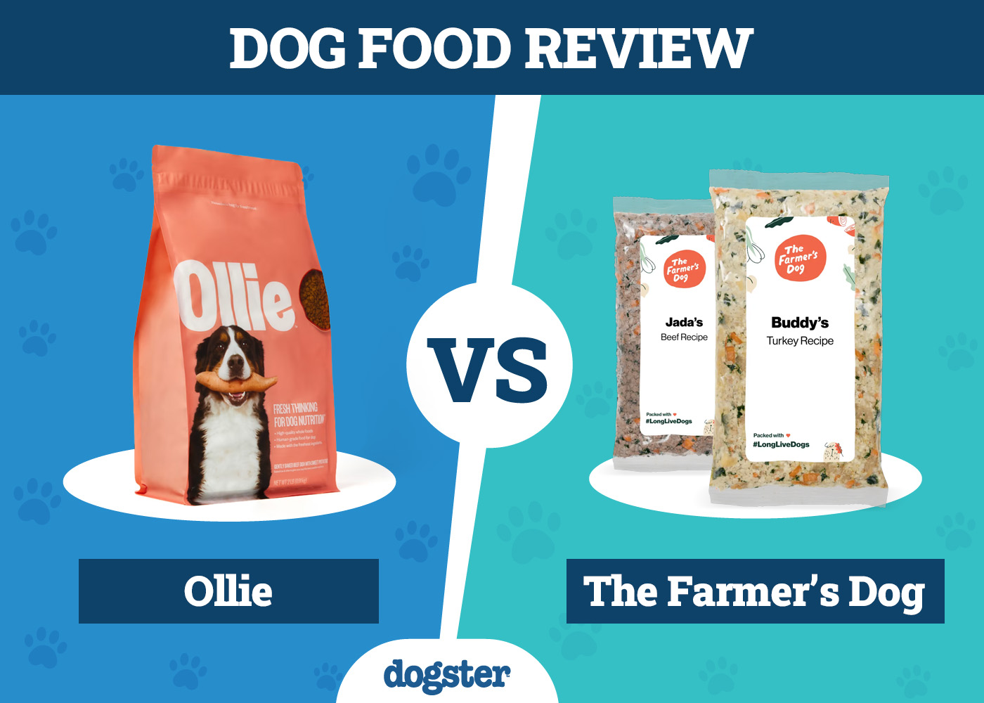 Ollie vs. The Farmer’s Dog 2026 Comparison: Which Fresh Dog Food is Better?