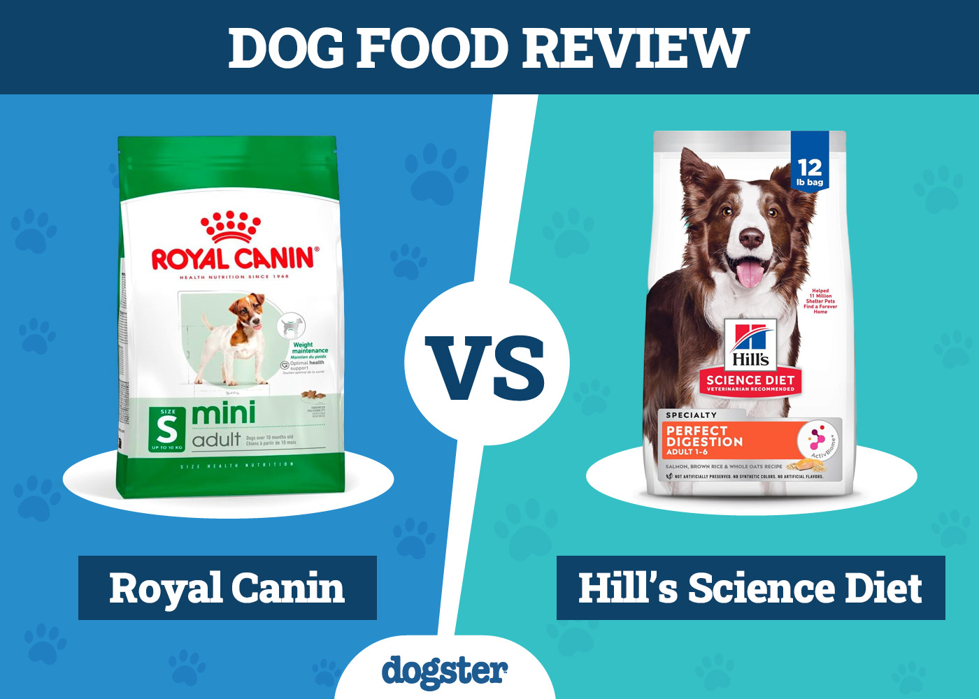 Royal Canin Dog Food vs Hill’s Science Diet: 2026 Comparison, Pros & Cons