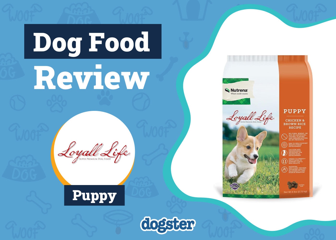 Loyall Life Dog Food Review 2026: Pros, Cons, Recalls & FAQ