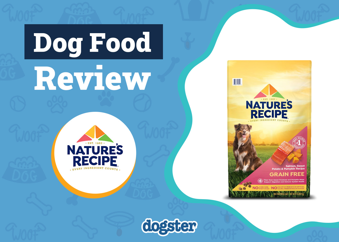 Nature’s Recipe Dog Food Review 2026: Recalls, Pros & Cons