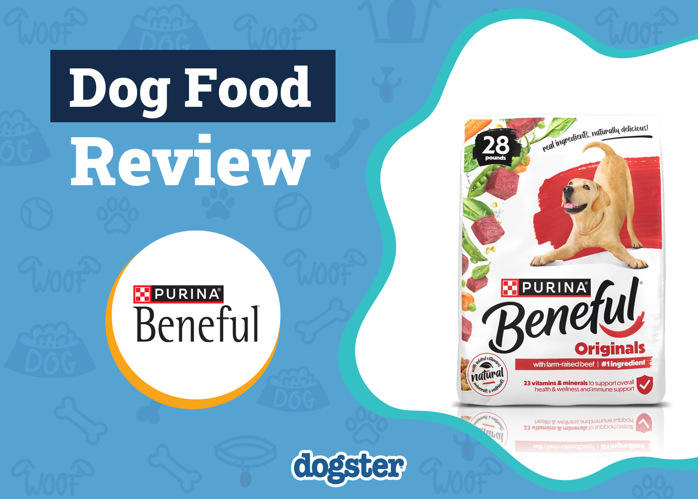 Purina Beneful Dog Food Review 2026: Pros, Cons, Recalls & FAQ